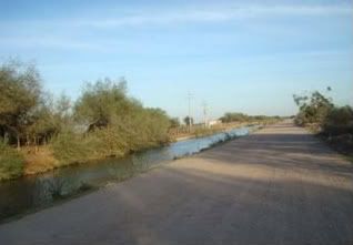 mezquite alto sinaloa