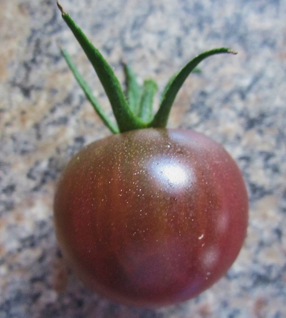 purple cherry tomatoes