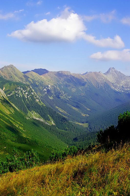 Dołączona grafika