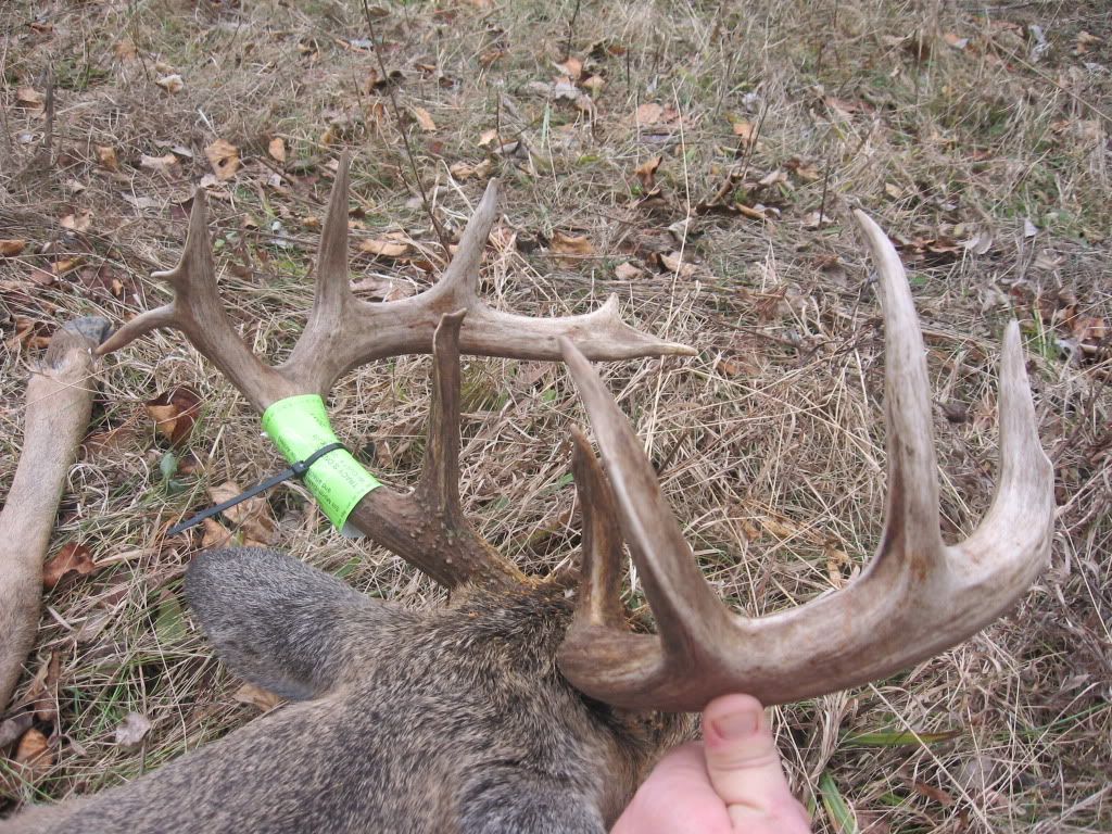 GunSeason2011011.jpg