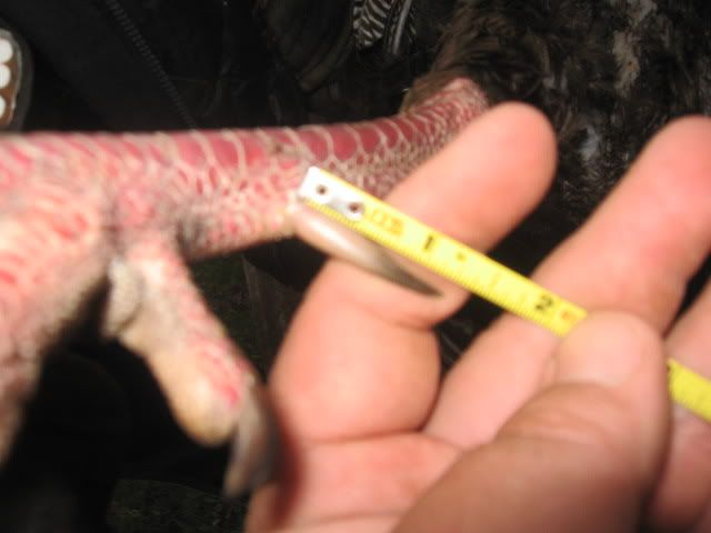 IMG_1533.jpg?t=1272225440