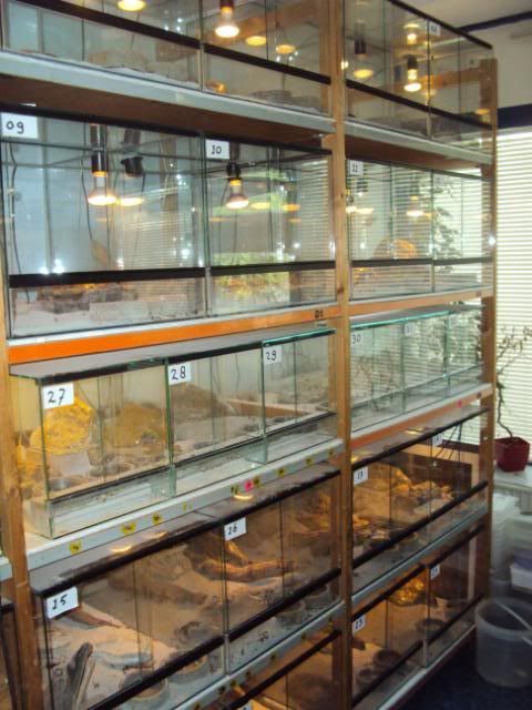 DSC04209.jpg