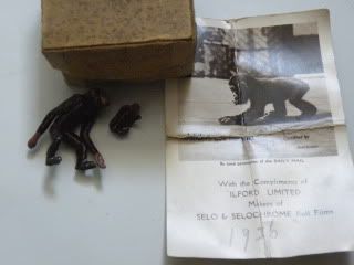 DSCF4391.jpg