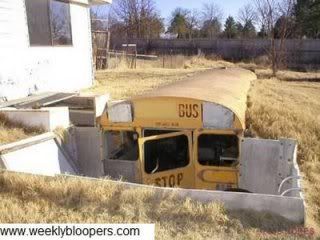 Redneck Storm Cellar Pictures, Images and Photos