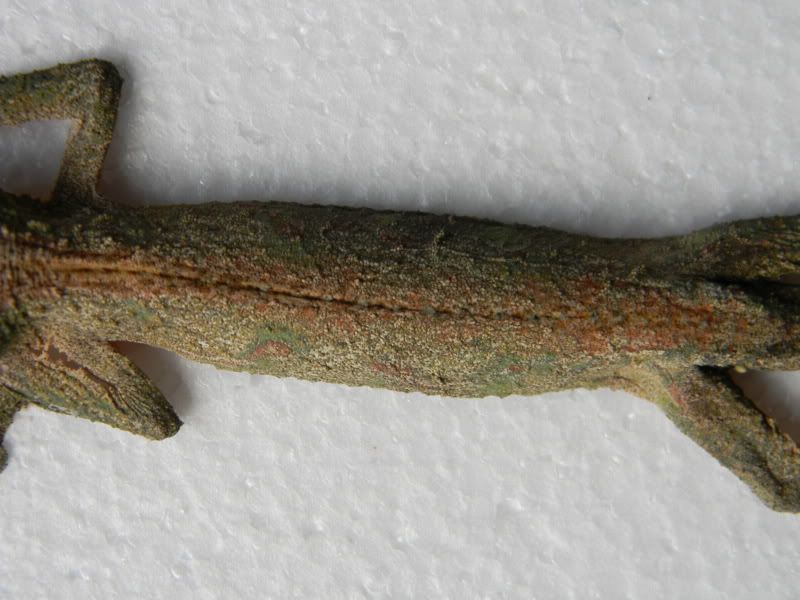 leachies008-1.jpg