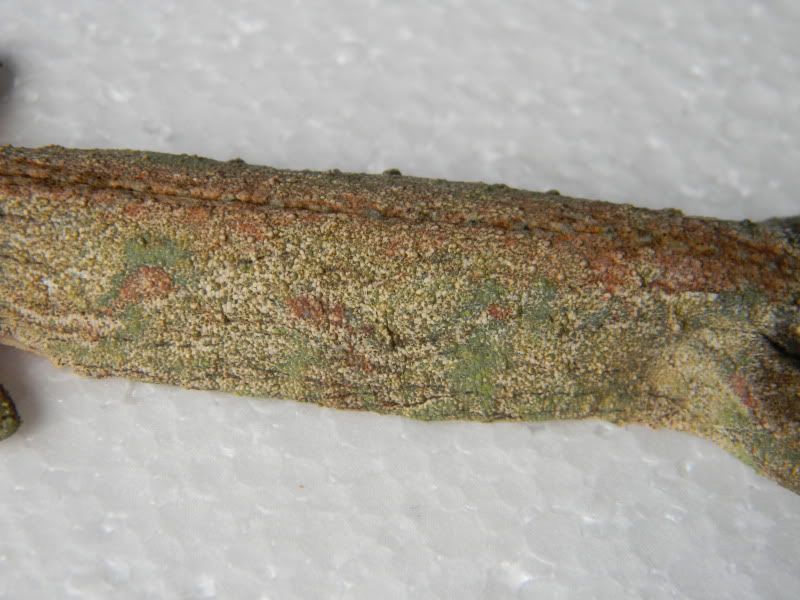 leachies009.jpg