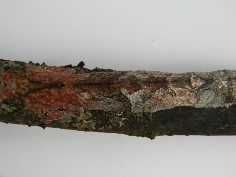 usikorae010.jpg