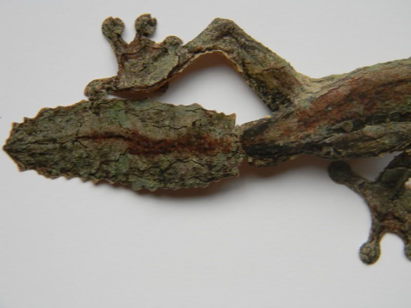 usikorae014.jpg