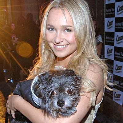 hayden-panettiere-with-dog-400a0619.jpg