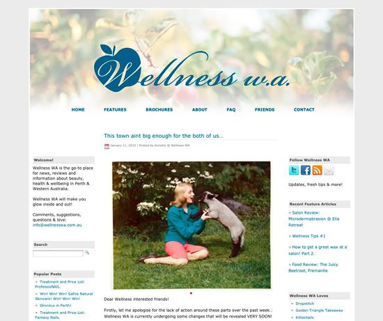 Wellness WA Wordpress theme @ Le Blog de Sushi