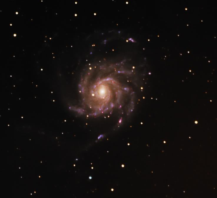 M101sCropped80.jpg