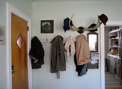 entry way - antlers