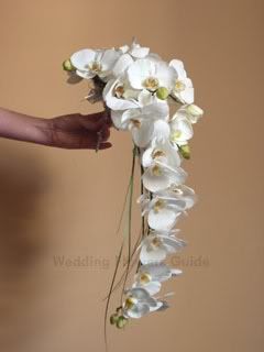 Orchid bouquet Pictures, Images and Photos