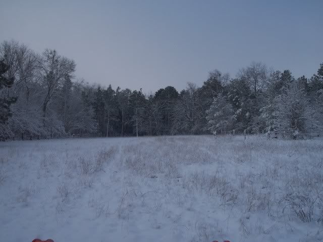 100_3708.jpg