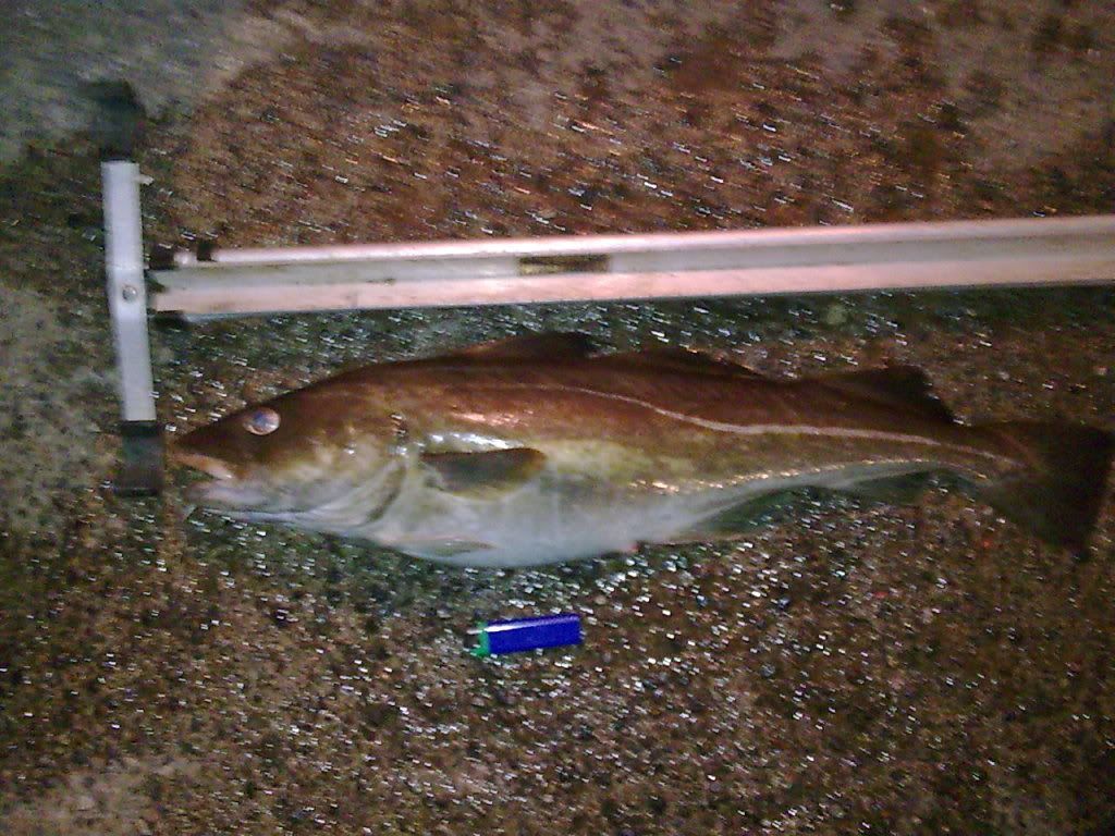 cod1044.jpg