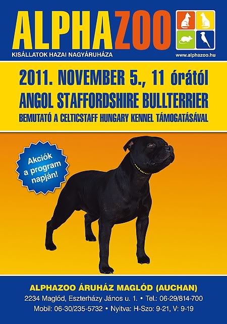 news_alphazoo_staffbull_fajtabemutato_20111105.jpg