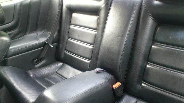 leatherinterior.jpg