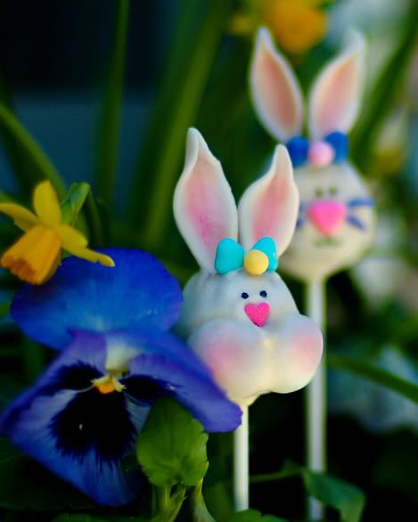 easter bunny cake pictures. Easter Bunny Cake Pops